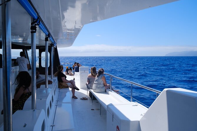 Madeira Dolphin and Whale Watching on a Ecological Catamaran - What the guides add to the three-hour cruise