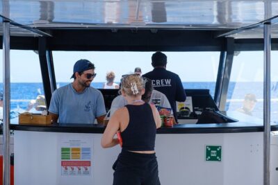 Madeira Dolphin and Whale Watching on a Ecological Catamaran