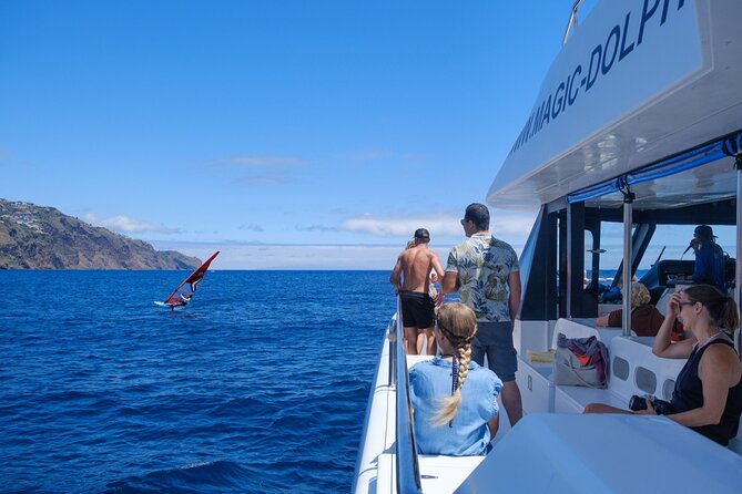 Madeira Dolphin and Whale Watching on a Ecological Catamaran - The biggest issue: wind, spray, and rough water