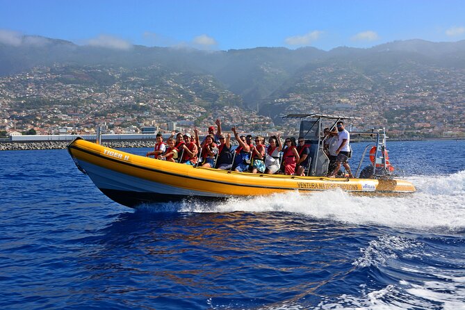 Madeira Dolphin & Whale Watching Tour - Key points to know before boarding