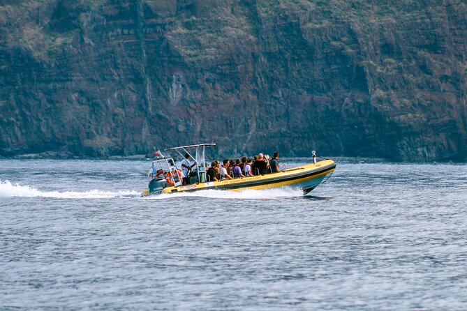 Madeira Dolphin & Whale Watching Tour - Madeira from the sea