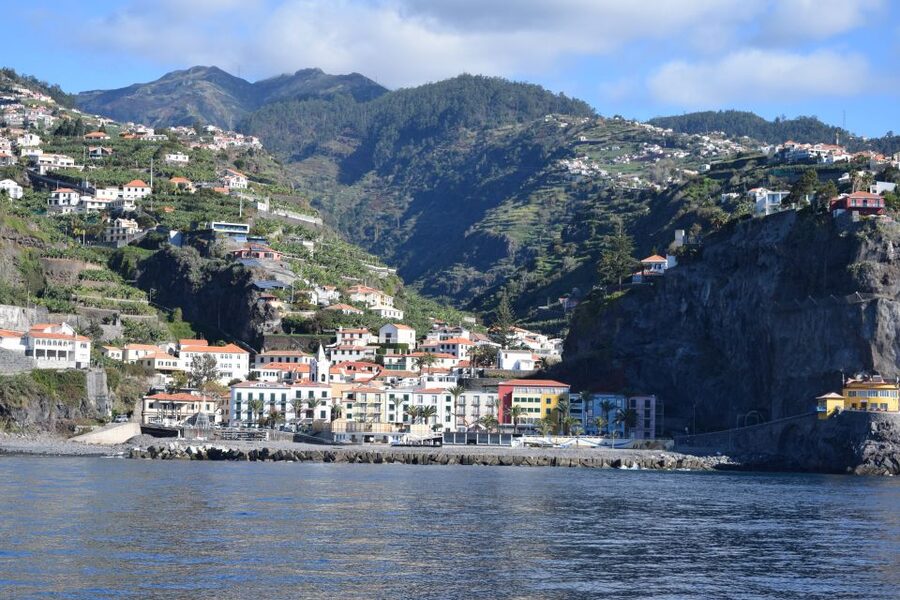Madeira: Whale and Dolphin Watching Private Cruise - A Swimming Break in Clear Water