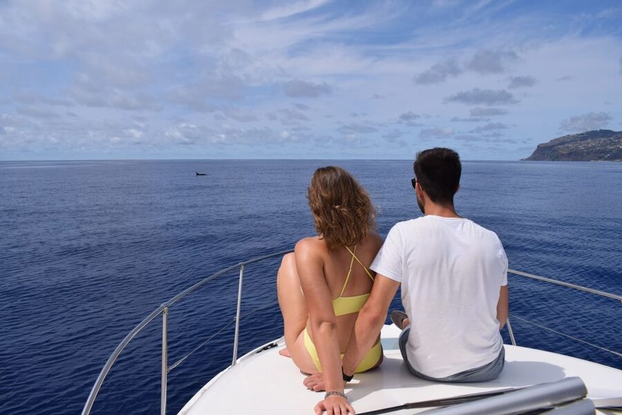Madeira: Whale and Dolphin Watching Private Cruise - The Yacht’s Comforts Matter