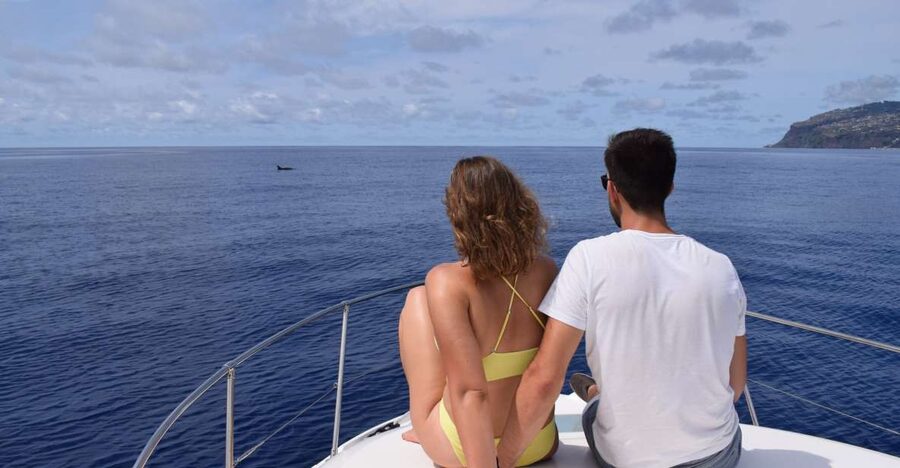 Madeira: Whale and Dolphin Watching Private Cruise - Choosing Between Miranda and Gringo