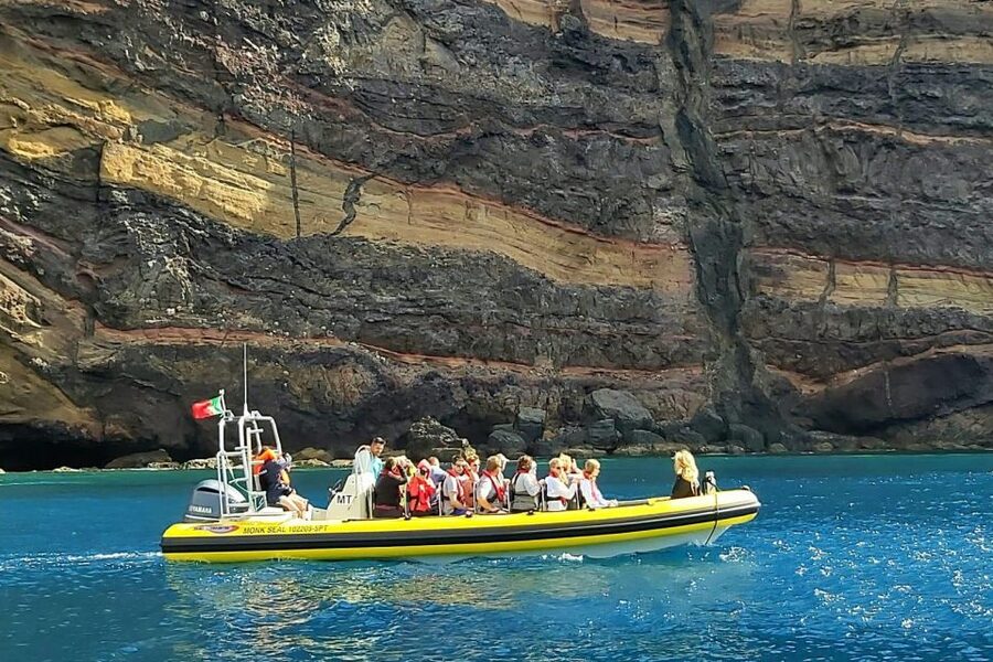 Madeira: Whale and Dolphin Watching Tour - Who Will Enjoy This Tour Most?