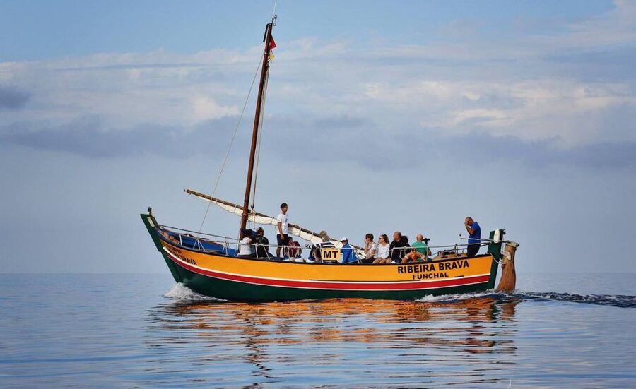Madeira: Whale Watching Excursion in a Traditional Vessel - How the $53 price measures up