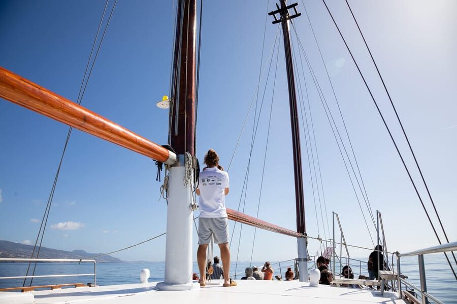 Madeira : Whales and Dolphins wooden boat excursion - What to pack and how to prepare