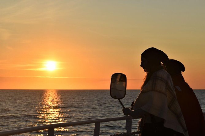 Magical Whales in the Midnight Sun | from Reykjavik - What makes this whale cruise worth considering