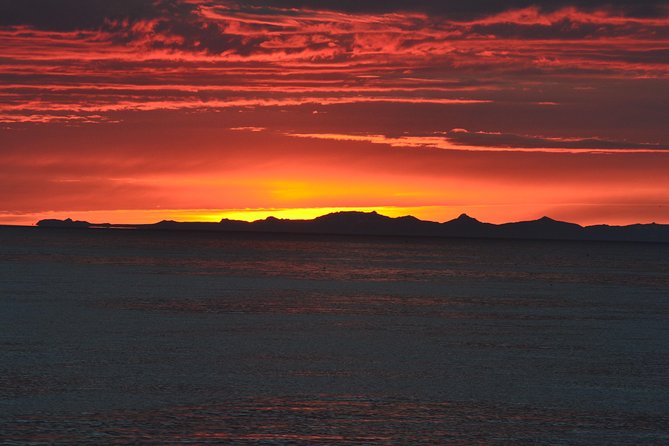 Magical Whales in the Midnight Sun | from Reykjavik - The midnight sun is the real extra