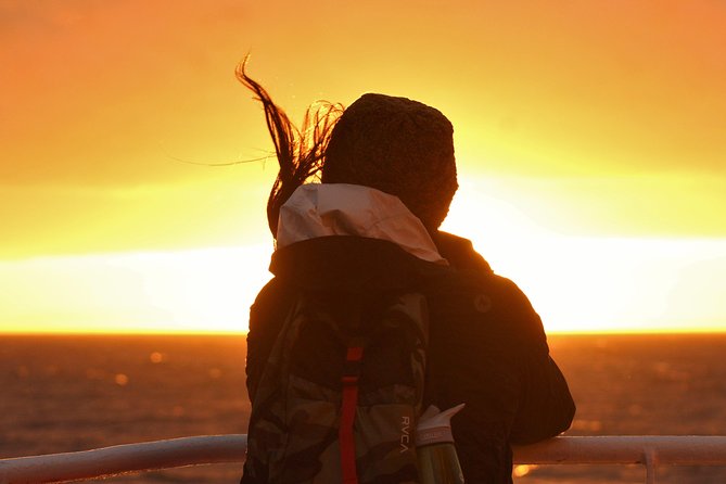 Magical Whales in the Midnight Sun | from Reykjavik - The Whale Watching Centre adds useful context