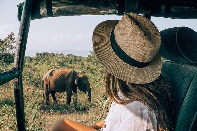 Majestic Mammals Of Sri Lanka: Whale & Elephant Safari Tour - Afternoon among elephants at Udawalawe