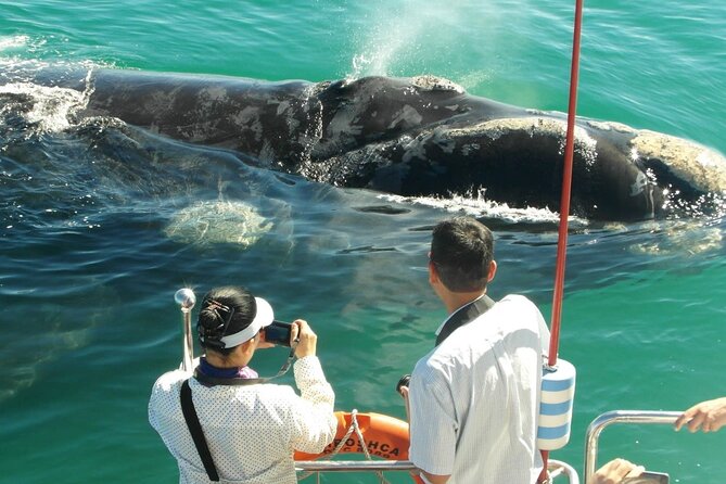 Majestic Mammals Of Sri Lanka: Whale & Elephant Safari Tour - Practical advice before you book