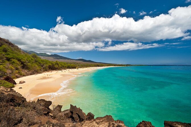 Makena Whale Watching and Snorkel - Key Points Before You Book