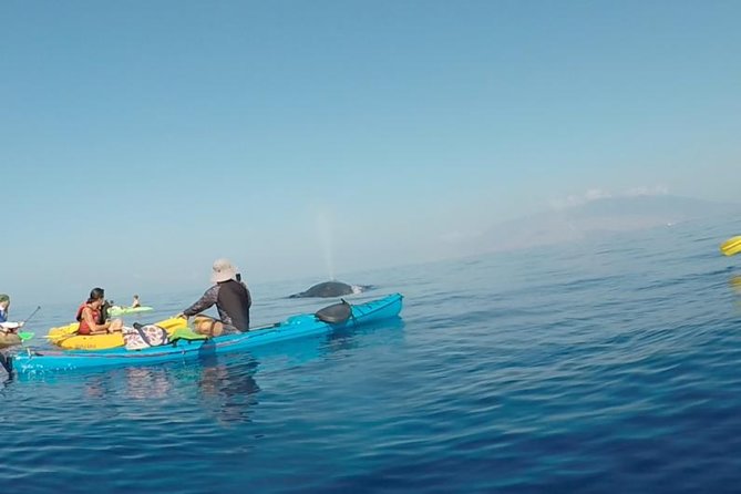 Makena Whale Watching and Snorkel - A Quiet Start at Makena Landing Park