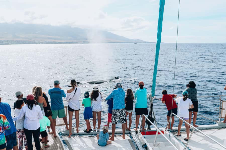 Maui: Ka'anapali Discount Whale Watch - Beach Loading Vessel - The underwater hydrophone changes the experience