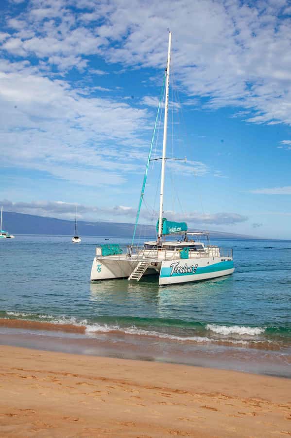Maui: Ka'anapali Discount Whale Watch - Beach Loading Vessel - Comfort, seasickness, and practical limits