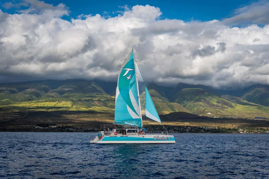 Maui: Kaanapali Whale Watching Boat with Open Bar and Food - Is $167 a Fair Price?