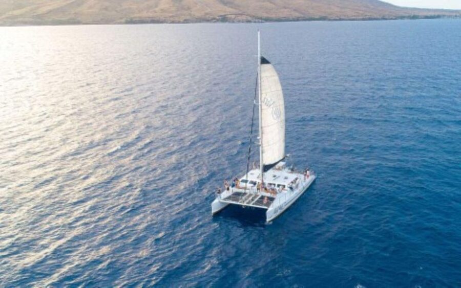 Maui: Luxury Catamaran Whale Watch & Sail - Key points to know before booking