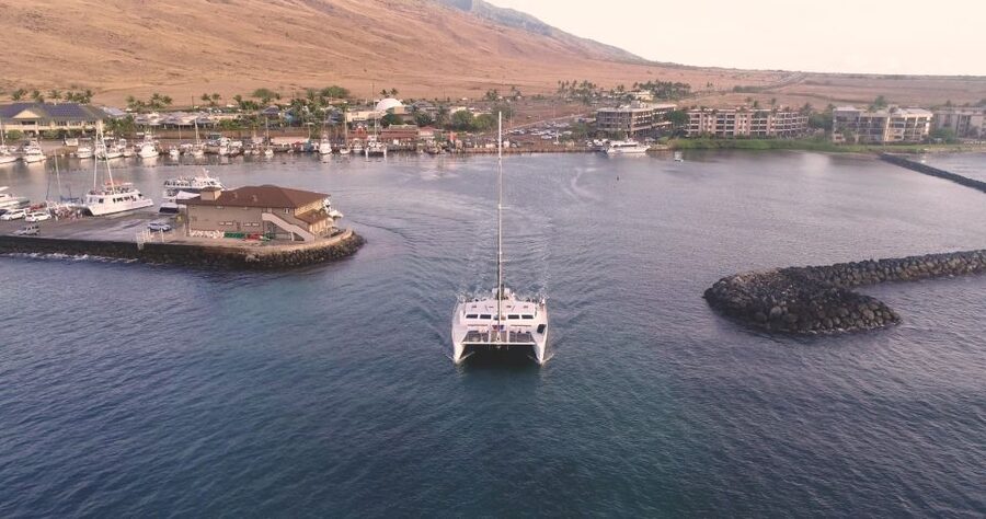 Maui: Luxury Catamaran Whale Watch & Sail - A two-hour trip built around whale watching