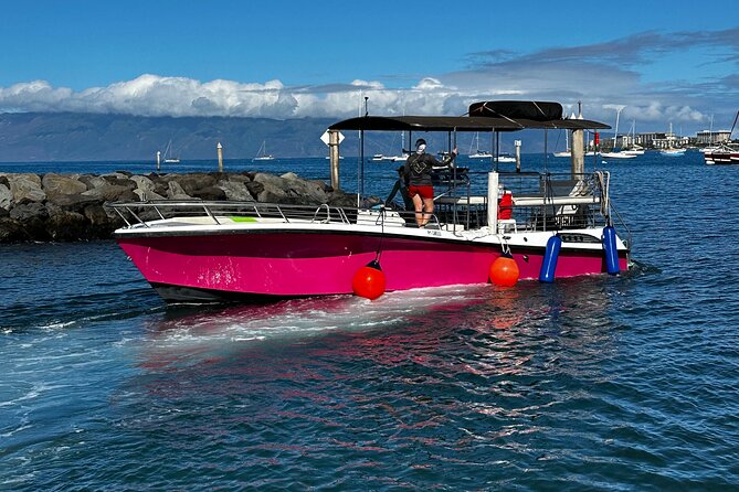 Maui Mid Day Magic Whale Watch - Comfort, water, and the no-restroom reality