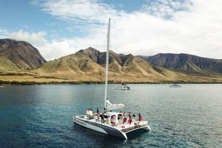 Maui: Midday Sail with the Whales Māʻalaea Harbor - Key points to know before you book