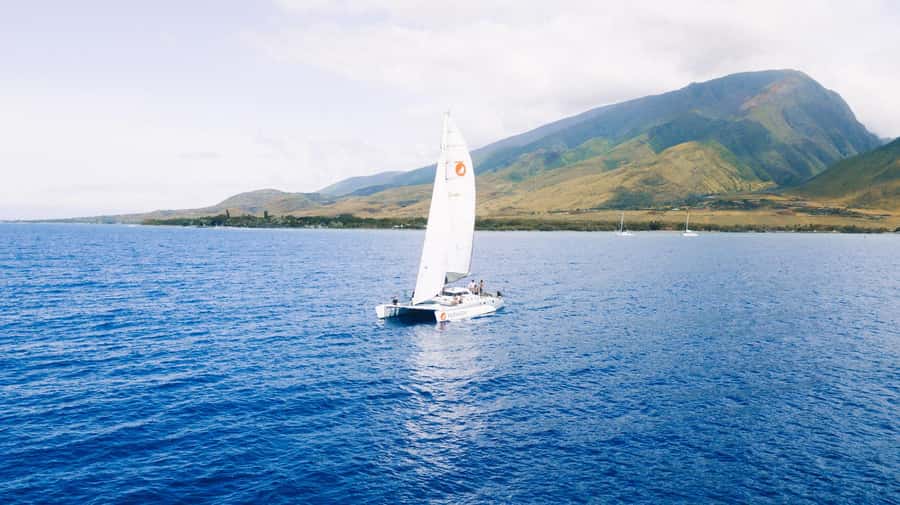 Maui: Midday Sail with the Whales Māʻalaea Harbor - Is a two-hour trip long enough?