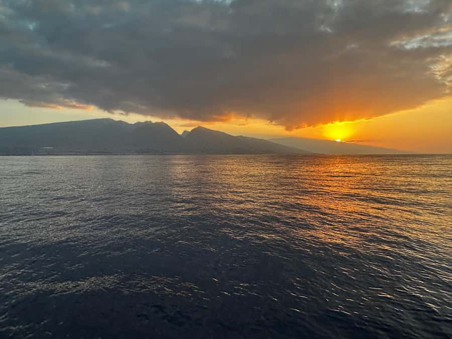 Maui: Sunrise Whale Watch - A family-owned company with local ties