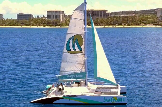 Maui: Whale Watching Cruise with Open Bar from Ka'anapali Beach - Setting out from Ka’anapali Beach