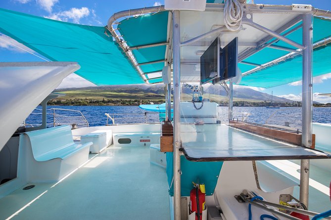 Maui: Whale Watching Cruise with Open Bar from Ka'anapali Beach - Drinks, snacks, and the cruise atmosphere