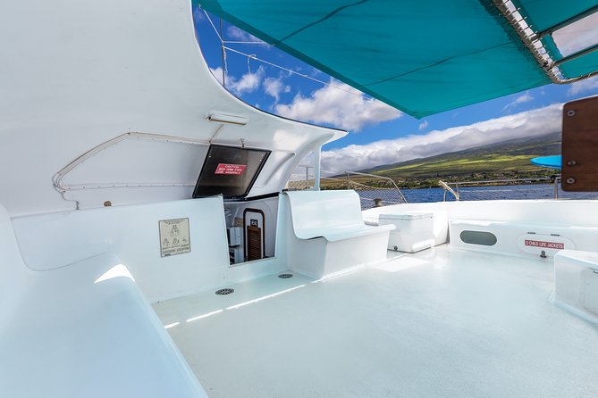 Maui: Whale Watching Cruise with Open Bar from Ka'anapali Beach - Is $115.85 a good value?