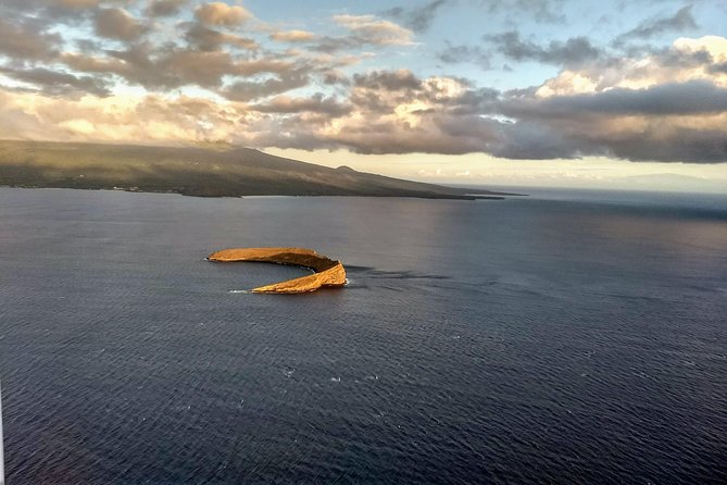 Maui Whale Watching -PRIVATE- Air Tour: (2-5 People): SEE WHALES! - What the Private Aircraft Adds