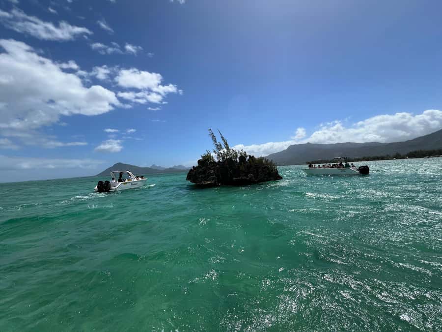 Mauritius Eco Whales Quest, 3-4 hours Expedition - Humpback whales and the chance for a big encounter