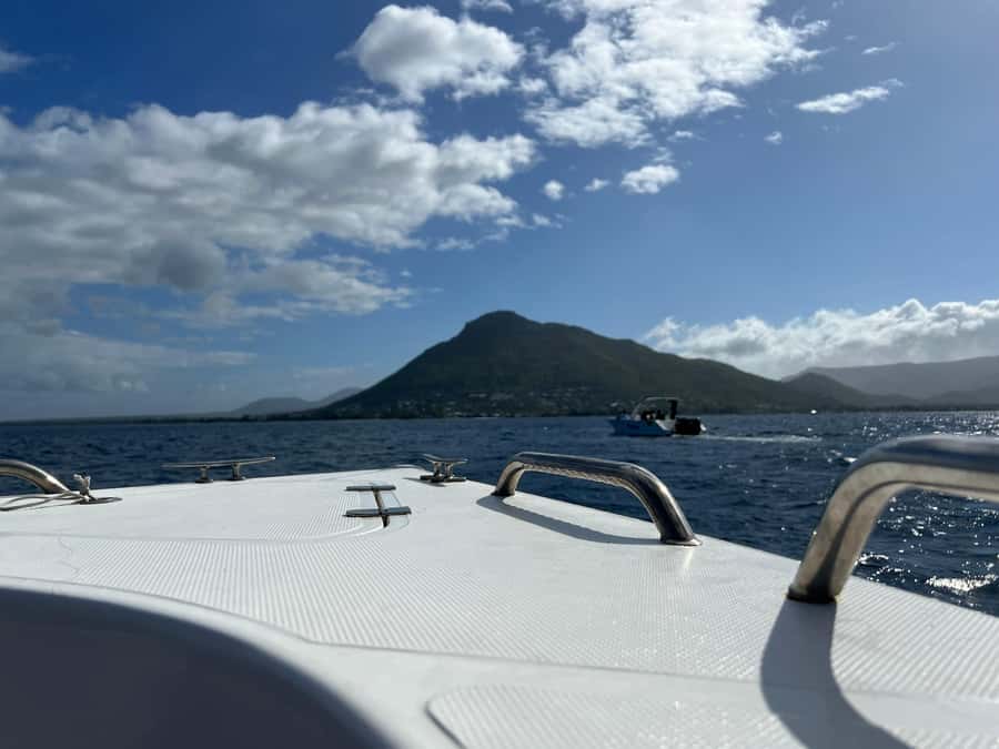 Mauritius Eco Whales Quest, 3-4 hours Expedition - A possible dolphin stop, and why it changes the mood