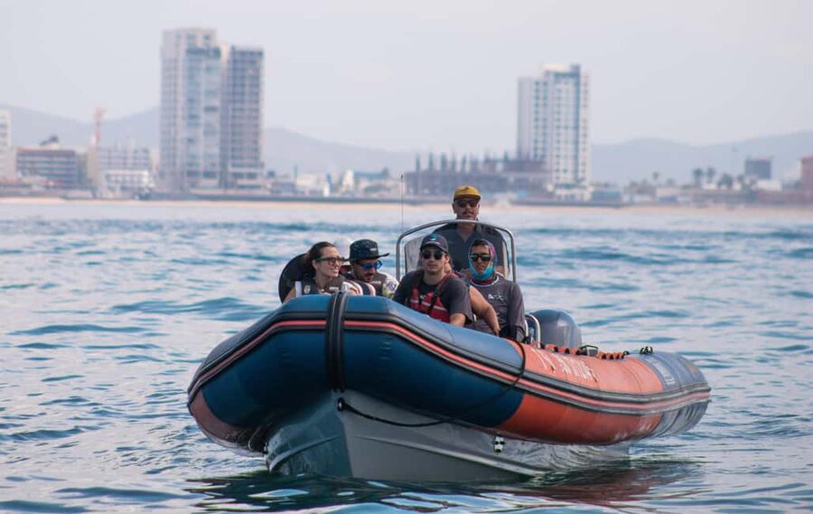 Mazatlán: Whale-Watching Boat Tour with Marine Experts - Why this Mazatlán whale tour feels different