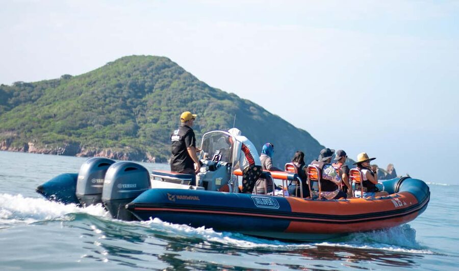Mazatlán: Whale-Watching Boat Tour with Marine Experts - Learning from the marine team