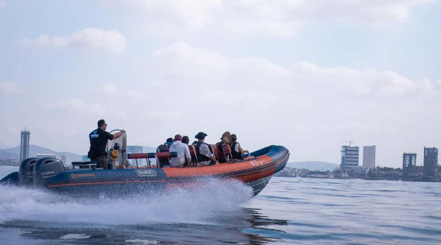 Mazatlán: Whale-Watching Boat Tour with Marine Experts - Taking part in scientific monitoring