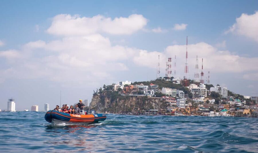 Mazatlán: Whale-Watching Boat Tour with Marine Experts - Adding the National Whale Museum visit