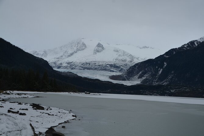 Mendenhall Glacier and Whale Watching Tour - A two-hour search for humpback whales