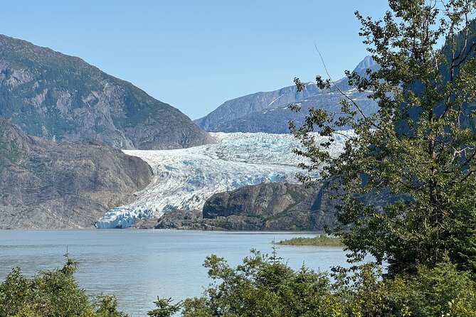 Mendenhall Glacier and Whale Watching Tour - Mendenhall Glacier in a 40-minute window