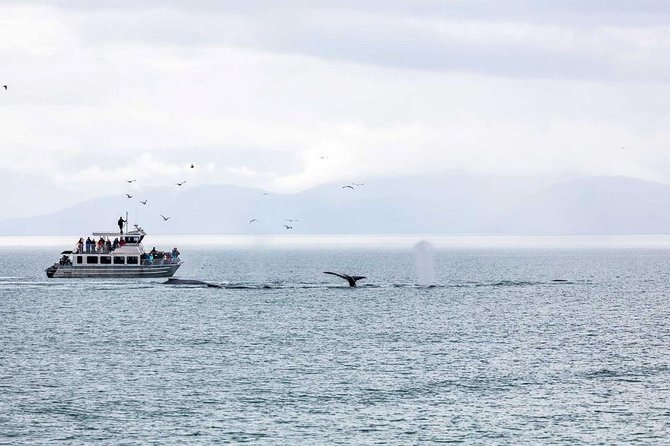Mendenhall Glacier Visitor Center and Ultimate Whale Watch Combo - Is $199 a good value?