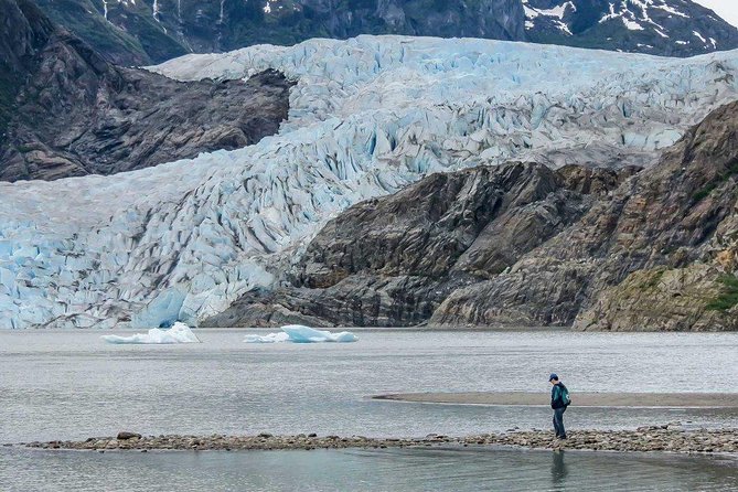 Mendenhall Glacier Visitor Center and Ultimate Whale Watch Combo - Who should choose this excursion?