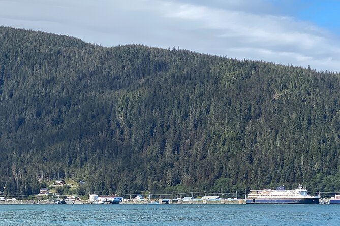 Mendenhall Glacier Waterfall and Whale Watching Tour - The visitor center adds context, when open