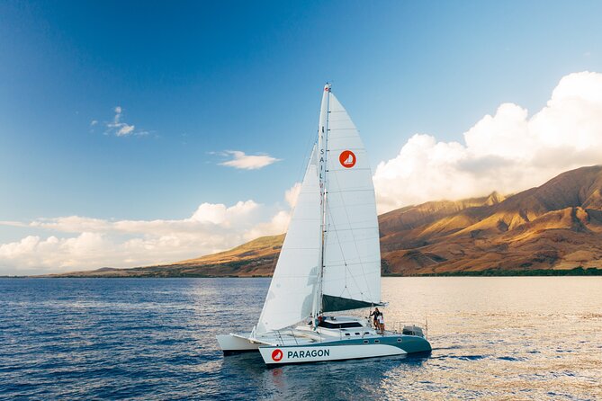 Midmorning Whale Watch from Lahaina Harbor - A crew that keeps the mood relaxed