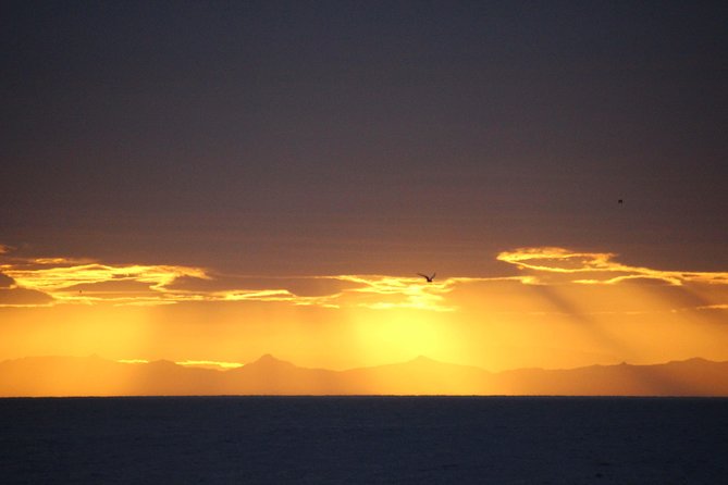 Midnight Sun Whale Watching from Reykjavik - Staying warm, dry, and steady