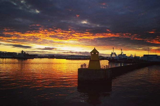 Midnight Sun Whale Watching from Reykjavik - Is $109.34 a fair price?