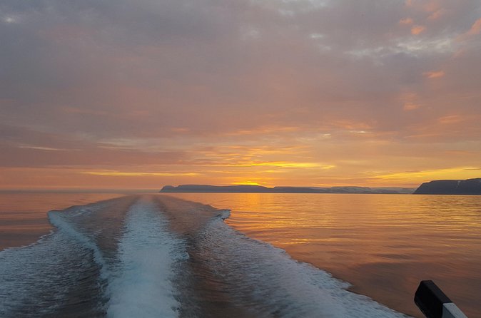 Midnight Whale Watching With Hydrophone - Value, group size, and practical planning