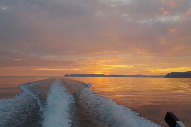 Midnight Whale Watching With Hydrophone - A two-and-a-half-hour search for whales