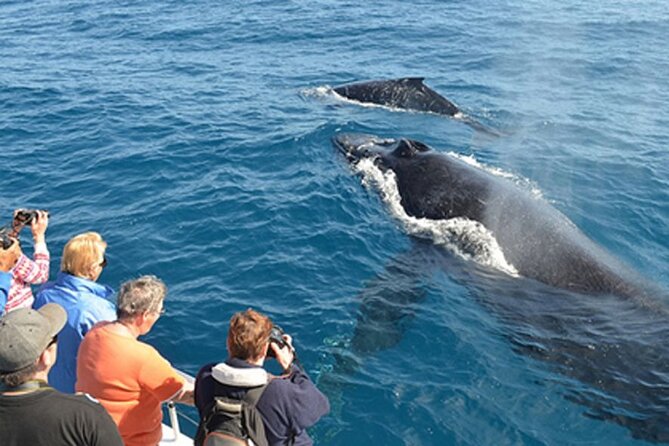Mirissa Whale & Dolphin Watching Cruise with Geeth’s Crew - Breakfast with a view of the Indian Ocean