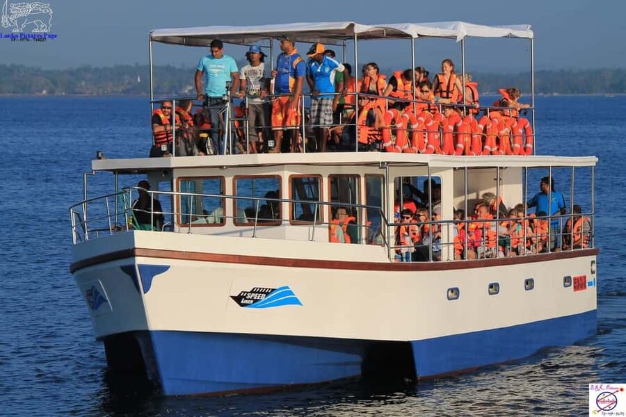 Mirissa: Whale & Dolphin Watching Trip with Private Transfer - Why Mirissa is a strong place for whale watching