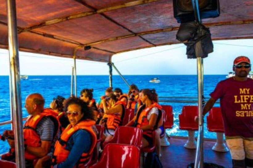 Mirissa: Whale Watching Cruise - Key points to know before booking